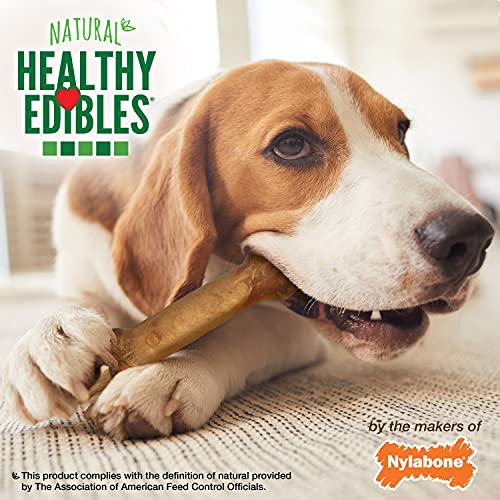 Nylabone Healthy Edibles Long-Lasting Dog Treats - Natural Dog Treats for Medium Dogs - Dog Products - Chicken Flavor, Medium/Wolf (2 Count)