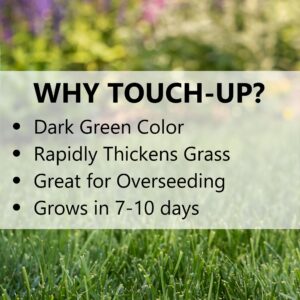 Jonathan Green (12120) Touch-Up TRI-RYE Perennial Ryegrass Grass Seed - Cool Season Lawn Seed (3 lb)