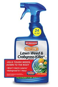 bioadvanced all-in-one lawn weed and crabgrass killer i, ready-to-use, 24 oz