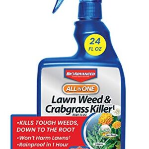 BioAdvanced All-In-One Lawn Weed and Crabgrass Killer I, Ready-to-Use, 24 oz