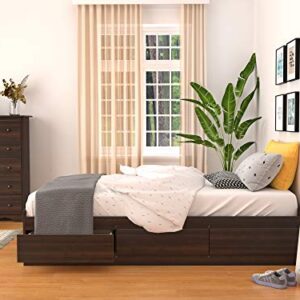 Prepac Mate's Twin XL 3-Drawer Minimalist Platform Storage Bed, Contemporary Twin XL Bed with Drawers 81.5" D x 41" W x 18.75" H, Espresso, EBX-4105-K