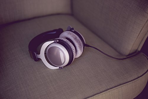 beyerdynamic DT 880 Premium Edition Over-Ear-Stereo Headphones. Semi-Open Design, Wired, high-end (32, 250, or 600 Ohm) (600 OHM, Gray)
