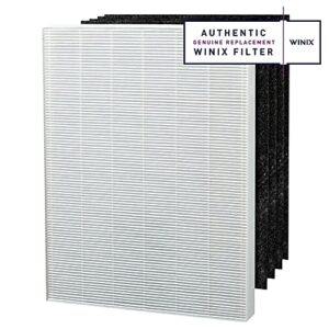 Genuine Winix 115115 Replacement Filter A for C535, 5300-2, P300, 5300, White/Black