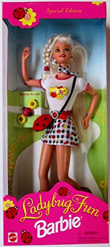 Barbie Ladybug Fun