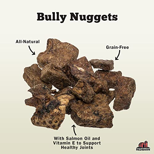 Redbarn All Natural Dog Treats Made in The USA - Healthy Dog Snacks - Nutritious Training Treat - Grain Free Dog Treats - Supports Hip and Joint for Dogs - Tasty Beef Lung Dog Treats - Bully Nuggets
