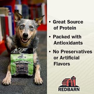 Redbarn All Natural Dog Treats Made in The USA - Healthy Dog Snacks - Nutritious Training Treat - Grain Free Dog Treats - Supports Hip and Joint for Dogs - Tasty Beef Lung Dog Treats - Bully Nuggets