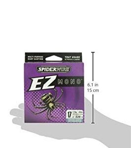 SpiderWire® EZ Mono™, Fluorescent Clear/Blue, 9lb - 220yd