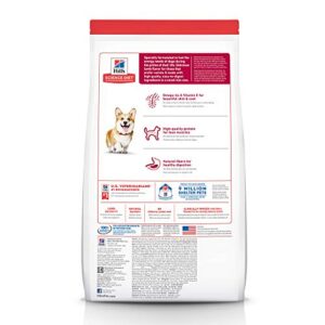 Hill's Science Diet Dry Dog Food, Adult, Small Bites, Lamb Meal & Brown Rice Recipe, 4.5 lb. Bag