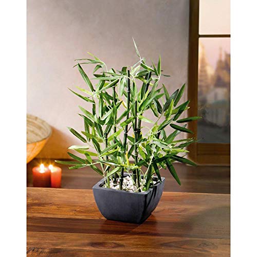 Westcharm 18 inch Tall Faux Bamboo Plant - Lush Artificial Bamboo in Black Polyresin Pot with Decorative River Stones for Home Office Kitchen Living Room Countertop Mantel