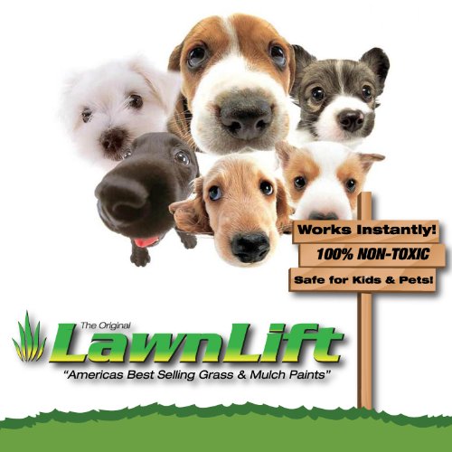 Lawnlift Ultra Concentrated (Green) Grass Paint 16oz. = 1.375 Gallons of Product.