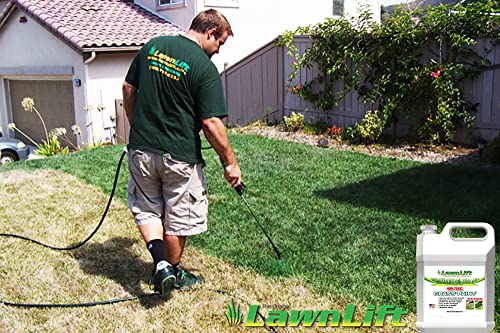 Lawnlift Ultra Concentrated (Green) Grass Paint 16oz. = 1.375 Gallons of Product.