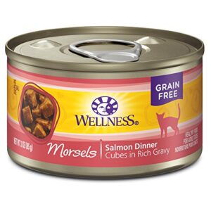 wellness natural pet food wellness complete health natural grain free wet canned cat food, cubed salmon entree, 3-ounce can (pack of 24)