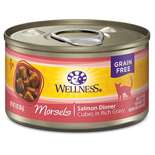 Wellness Natural Pet Food Wellness Complete Health Natural Grain Free Wet Canned Cat Food, Cubed Salmon Entree, 3-Ounce Can (Pack of 24)