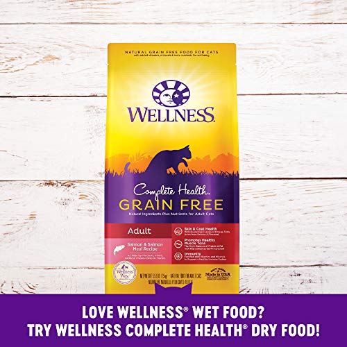 Wellness Natural Pet Food Wellness Complete Health Natural Grain Free Wet Canned Cat Food, Cubed Salmon Entree, 3-Ounce Can (Pack of 24)