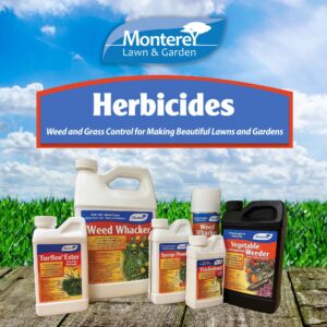 Monterey LG5285 Whacker Herbicide Concentrate, Broadleaf Weed Killer for Lawns, 32 oz