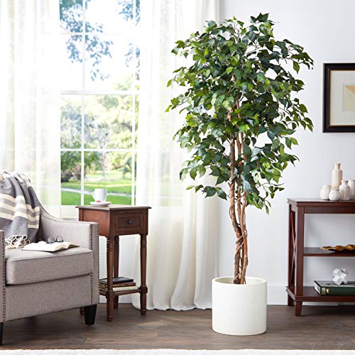 Nearly Natural 6ft. Ficus Artificial Trees, 72in, Green