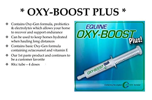 Oxy-Gen Oxy-Boost Probiotic Electrolyte Paste for Horses | Contains Vitamin E, Omega 3, Omega 6 and Octacosanol For Enhanced Performance | 80cc Paste (4 Doses)| Made in USA