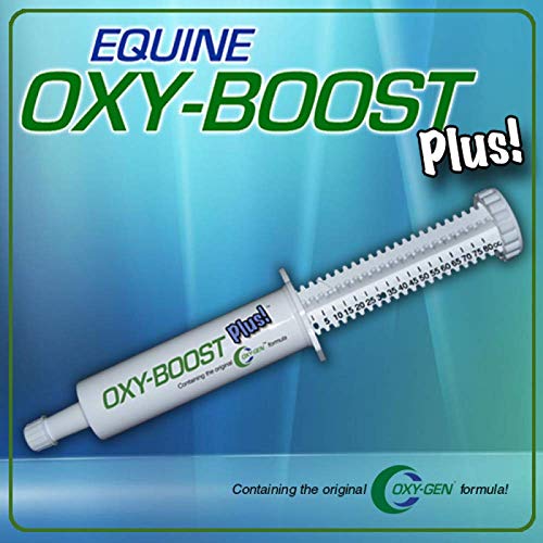 Oxy-Gen Oxy-Boost Probiotic Electrolyte Paste for Horses | Contains Vitamin E, Omega 3, Omega 6 and Octacosanol For Enhanced Performance | 80cc Paste (4 Doses)| Made in USA