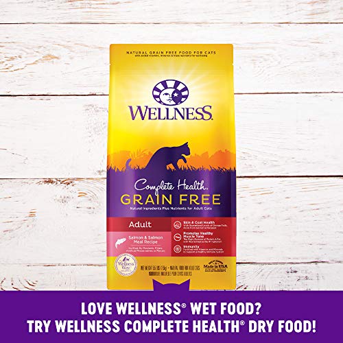 Wellness Complete Health Natural Grain Free Wet Canned Cat Food, Minced Salmon Entree, 3-Ounce Can (Pack of 24)