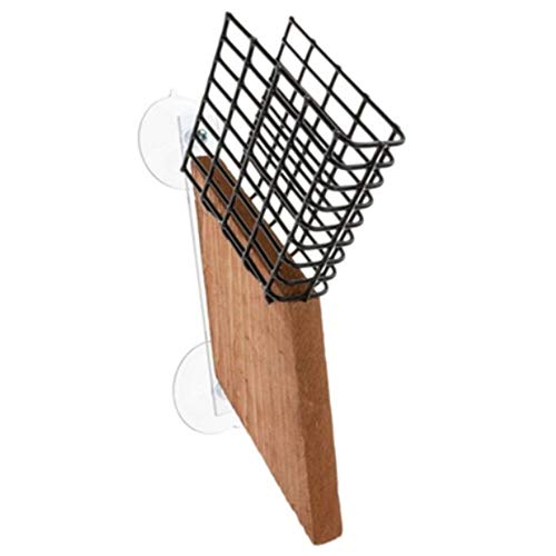 Songbird Essentials Suet Window Feeder