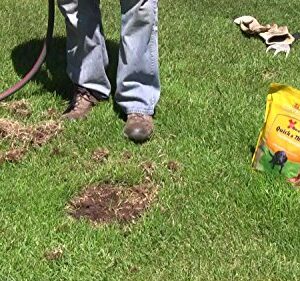 X-Seed Quick and Thick Dog Spot Lawn Repair Mix, 1.75-Pound