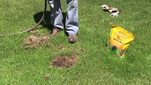 X-Seed Quick and Thick Dog Spot Lawn Repair Mix, 1.75-Pound