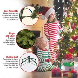 National Tree Company Artificial Full Christmas Tree, Green, Dunhill Fir, Includes Stand, 9 Feet