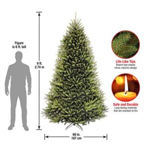 National Tree Company Artificial Full Christmas Tree, Green, Dunhill Fir, Includes Stand, 9 Feet