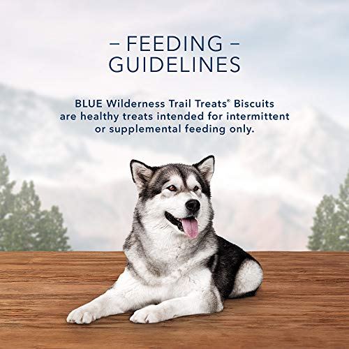 Blue Buffalo Wilderness Trail Treats High Protein Grain Free Crunchy Dog Treats Biscuits, Turkey Recipe 10-oz bag