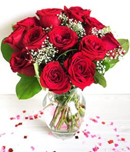 from you flowers - one dozen long stemmed red roses with free vase (fresh flowers) birthday, anniversary, get well, sympathy, congratulations