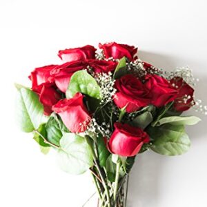 From You Flowers - One Dozen Long Stemmed Red Roses with Free Vase (Fresh Flowers) Birthday, Anniversary, Get Well, Sympathy, Congratulations