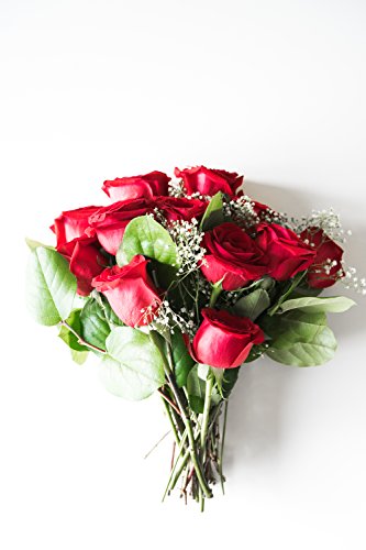 From You Flowers - One Dozen Long Stemmed Red Roses with Free Vase (Fresh Flowers) Birthday, Anniversary, Get Well, Sympathy, Congratulations