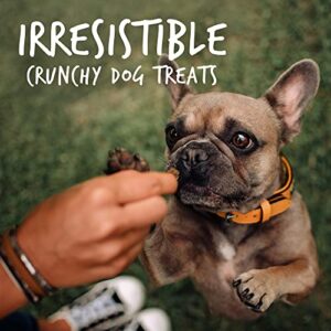 Fruitables Skinny Mini Dog Treats – Healthy Treats for Dogs – Low Calorie Training Treats – Free of Wheat, Corn and Soy – Rotisserie Chicken – 5 Ounces