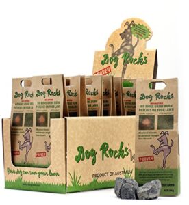 dog rocks 12-pack natural pet urine lawn spot eliminator, 24 months supply