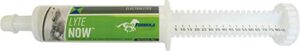 uckele lyte now syringe for horses - full spectrum electrolyte paste for horses - equine mineral fluid replenishment - 3 doses - 80 cc