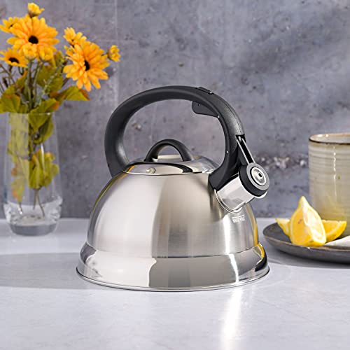 Mr. Coffee Flintshire Stainless Steel Whistling Tea Kettle, 1.75-Quart, Brushed Satin