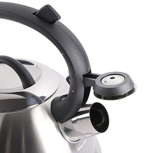 Mr. Coffee Flintshire Stainless Steel Whistling Tea Kettle, 1.75-Quart, Brushed Satin