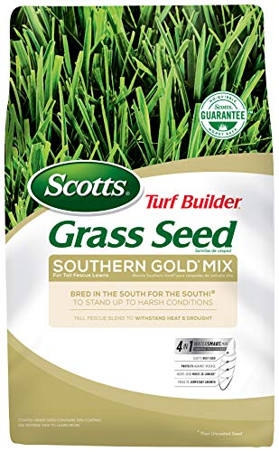 Scotts Turf Builder Grass Seed Southern Gold Mix for Tall Fescue Lawns, Stands Up to Harsh Conditions, 7 lbs