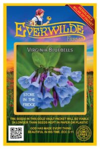 everwilde farms - 20 virginia bluebells native wildflower seeds - gold vault jumbo seed packet