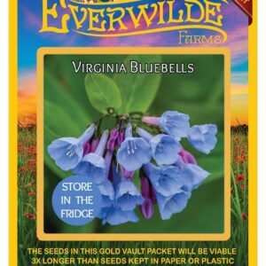 Everwilde Farms - 20 Virginia Bluebells Native Wildflower Seeds - Gold Vault Jumbo Seed Packet