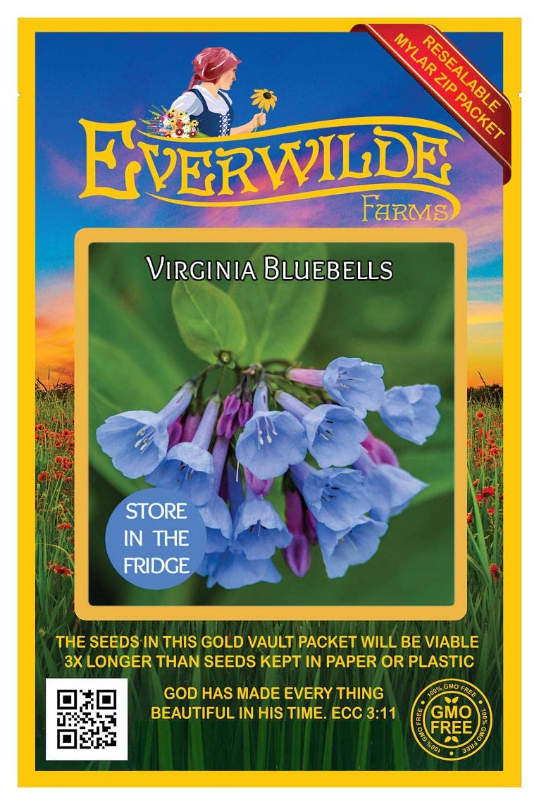 Everwilde Farms - 20 Virginia Bluebells Native Wildflower Seeds - Gold Vault Jumbo Seed Packet