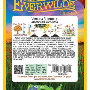 Everwilde Farms - 20 Virginia Bluebells Native Wildflower Seeds - Gold Vault Jumbo Seed Packet