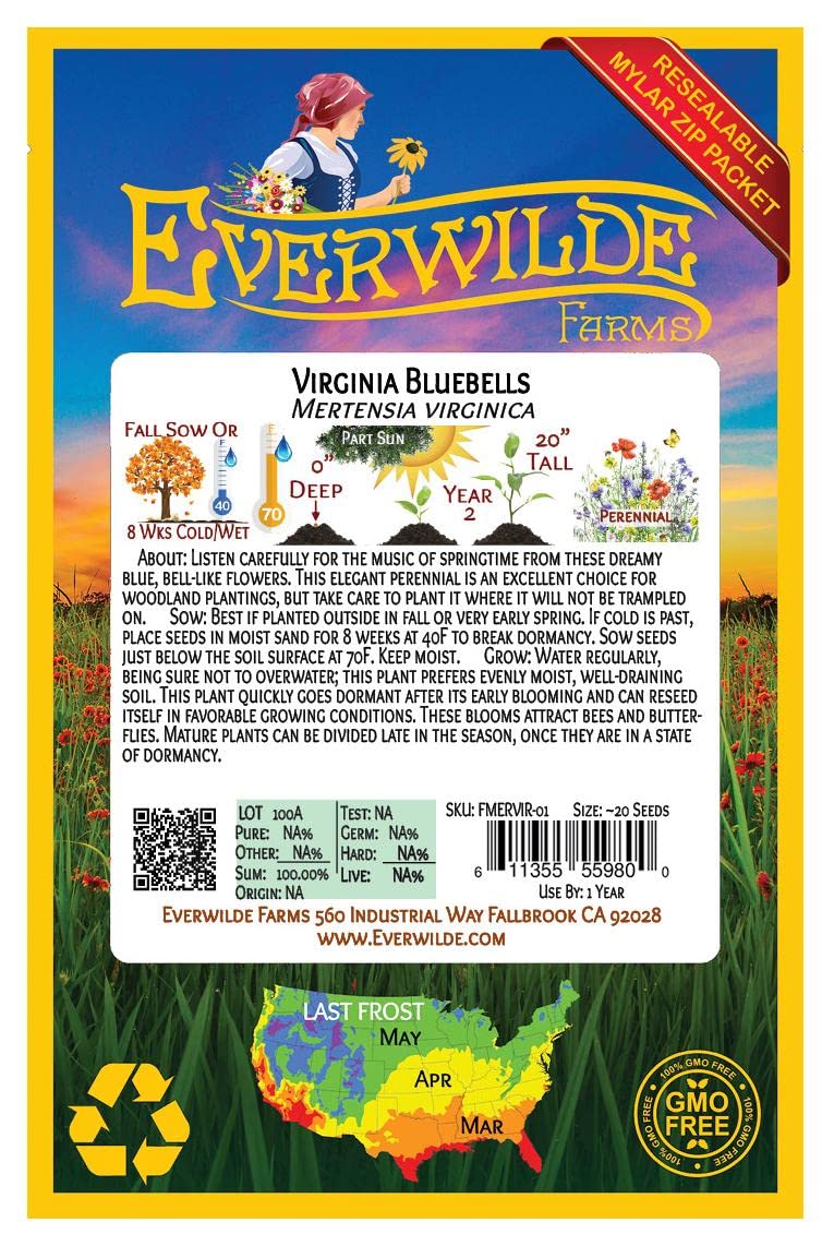 Everwilde Farms - 20 Virginia Bluebells Native Wildflower Seeds - Gold Vault Jumbo Seed Packet