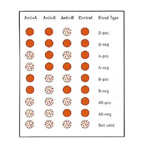 Eldoncard Blood Typing Kit, 1 Test, Know Your Blood Type, Instant Home Testing Kit, A, O, B, Rhs-D Negative and Positive Blood Types Tested