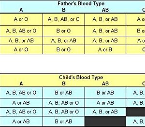 Eldoncard Blood Typing Kit, 1 Test, Know Your Blood Type, Instant Home Testing Kit, A, O, B, Rhs-D Negative and Positive Blood Types Tested