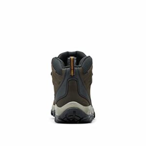 Columbia mens Newton Ridge Plus Ii Waterproof Hiking Boot, Cordovan/Squash, 8.5 US