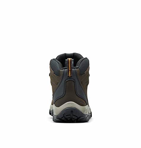 Columbia mens Newton Ridge Plus Ii Waterproof Hiking Boot, Cordovan/Squash, 8.5 US