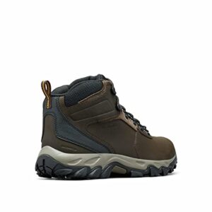 Columbia mens Newton Ridge Plus Ii Waterproof Hiking Boot, Cordovan/Squash, 10 US