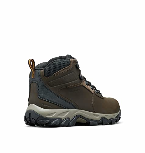 Columbia mens Newton Ridge Plus Ii Waterproof Hiking Boot, Cordovan/Squash, 10 US