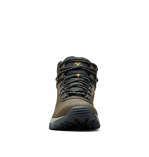 Columbia mens Newton Ridge Plus Ii Waterproof Hiking Boot, Cordovan/Squash, 10 US